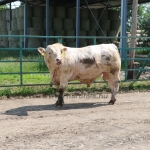 20180531_abauj_csobad