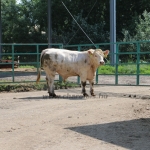 20180531_abauj_csobad