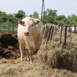 20180531_abauj_csobad