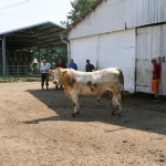 20180531_abauj_csobad