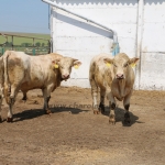 20180531_abauj_csobad