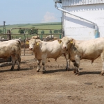 20180531_abauj_csobad