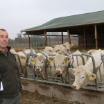 Charolais-Farm Kft. STV