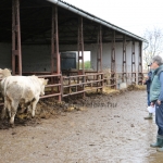 Szerencsi STV minősítés 2020 november