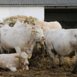 Szakmai nap Hajdúnánás