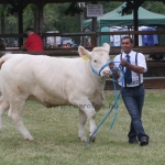 Hódmezővásárhely 2018