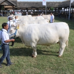 Hódmezővásárhely 2018