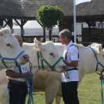 Hódmezővásárhely 2018