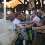 Hódmezővásárhely 2018