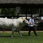 Hódmezővásárhely 2022