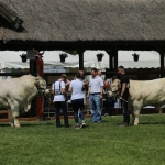 Hódmezővásárhely 2022