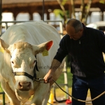 Hódmezővásárhely 2022