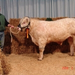 Verden 2006.02.8-13. 